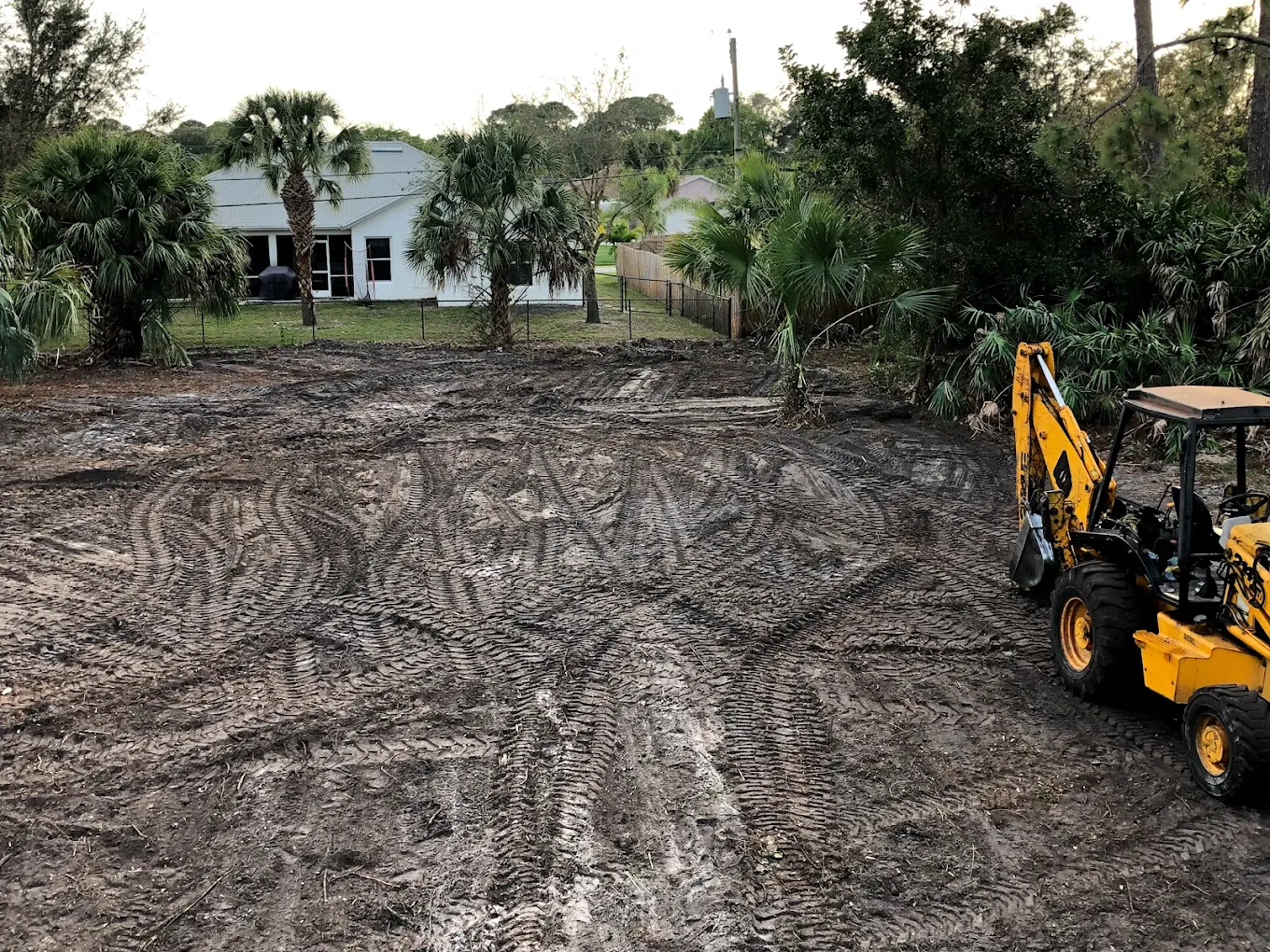 Tree maintenance service in Newberry, Florida